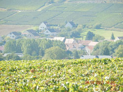 Un terroir, un vignoble... - Champagne Jean-Michel Pelletier